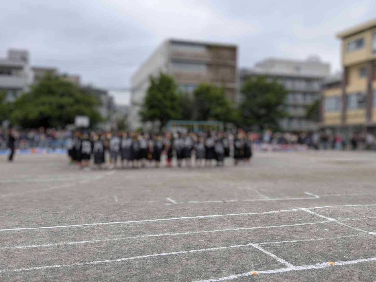 1779511065554~2